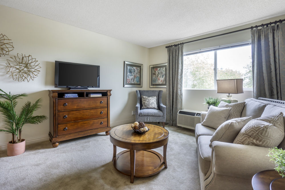 Independent Living Apartment Living Room